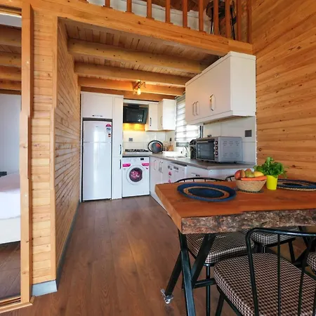 Βίλα Koruwoodenhouse Alanya Gazipasa