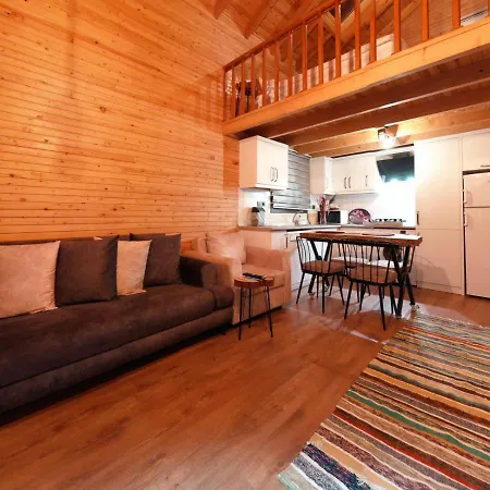 Βίλα Koruwoodenhouse Alanya