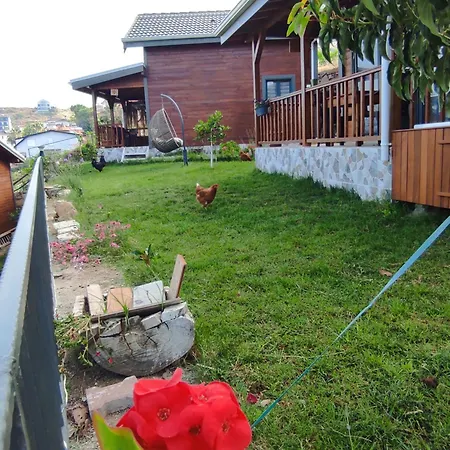 Koruwoodenhouse Alanya Villa