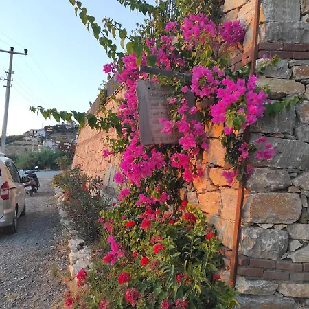 Koruwoodenhouse Alanya Villa *