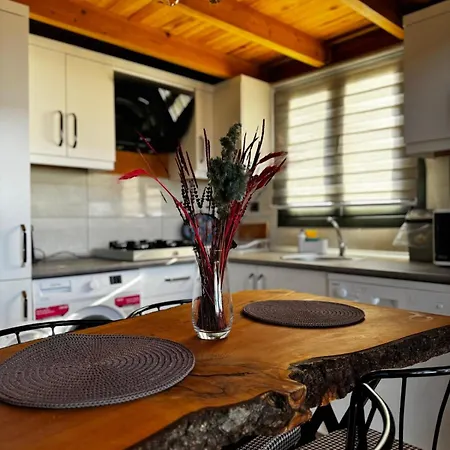 Koruwoodenhouse Alanya